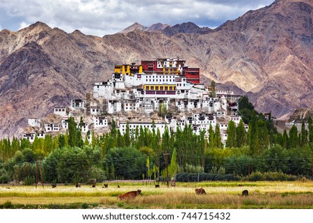 Thikse Gompa or Thikse Monastery (also transliterated from Ladakhi as Tikse, Tiksey or Thiksey) - Tibetan Buddhist monastery of the Yellow Hat (Gelugpa) sect. Ladakh, Jammu and Kashmir, India