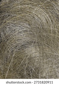 thin brass wire for wire EDM, Abstract background of tangled silver metallic wires and thin steel threads. Intricate industrial texture with shiny reflective fibers and small wire coils in a chaotic