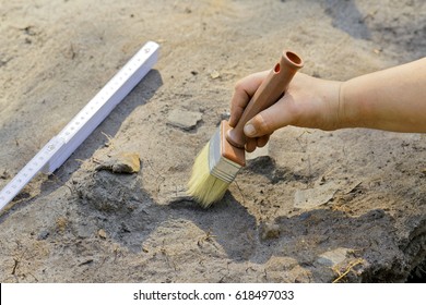 Thin Clearing Of The Excavation Site In Archaeology