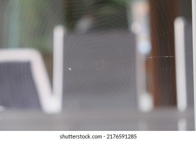 Thin cobweb on a blurred background 