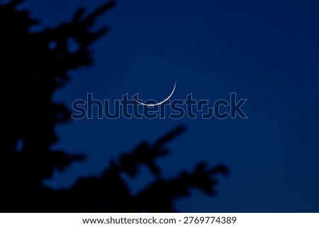 Thin crescent moon glowing in dark blue twilight sky above tree silhouettes