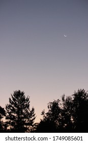 Thin Crescent Moon In A Purple Sky