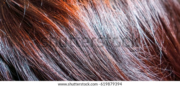 Thin Dark Brown Burgundy Red Hair Stock Photo Edit Now