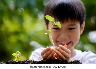 Thin focus on hand, Child holding young seedling plant in hands on green background to plant on soil. Concept Earth day
