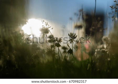 Image, Stock Photo Golden November