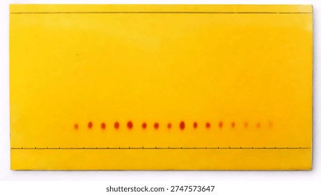 Thin layer chromatography (TLC) plate visualized with Dragendorff reagent showing orange alkaloid spots separated along the baseline. Analytical chemistry technique used for compound identification