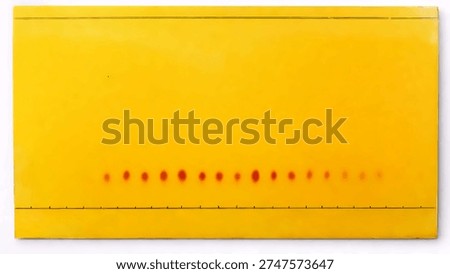 Thin layer chromatography (TLC) plate visualized with Dragendorff reagent showing orange alkaloid spots separated along the baseline. Analytical chemistry technique used for compound identification