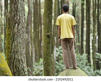 a thin man standing on a boulder in the forest