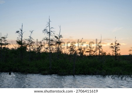 Thin Scraggly Pine Tree Forest Silhouette with Dusk Sunset Color Background and Dark Blue River Water in Foreground in Ontario Canada