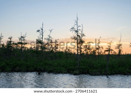 Thin Scraggly Pine Tree Forest Silhouette with Dusk Sunset Color Background and Dark Blue River Water in Foreground in Ontario Canada