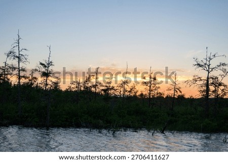 Thin Scraggly Pine Tree Forest Silhouette with Dusk Sunset Color Background and Dark Blue River Water in Foreground in Ontario Canada
