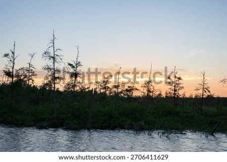 Thin Scraggly Pine Tree Forest Silhouette with Dusk Sunset Color Background and Dark Blue River Water in Foreground in Ontario Canada