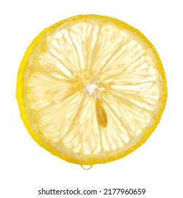 Thin slice of lemon in backlight