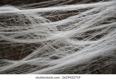 thin threads, network, textile thread tangle, symbol networking