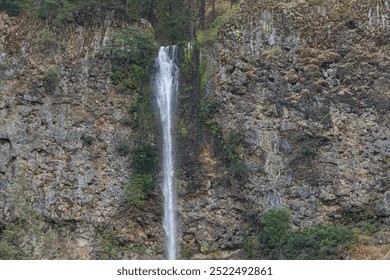Thin waterfall drops down a steep rocky cliff surrounded by greenery.
