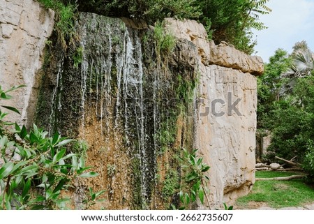 A thin waterfall trickles down a moss-covered cliff wall, blending into surrounding vegetation and layered rocky textures, eco tourism, rock and water interaction