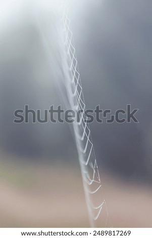 Similar – Image, Stock Photo Pieces of tree wood bark covered by a thin layer of snow in sunlight