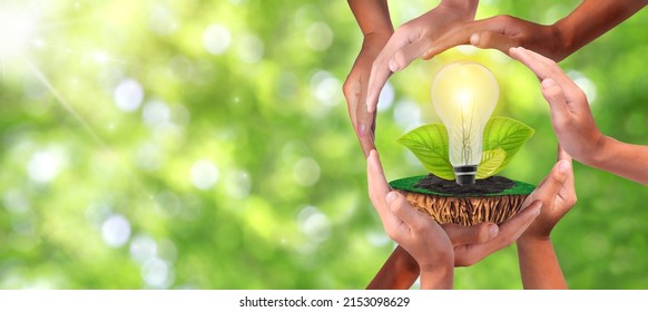 Thinking together, a diverse group of people come together to form an inspiring. Bulbs with small plants on soil and sunlight. Environmental protection, renewable energy, sustainable energy sources. - Shutterstock ID 2153098629
