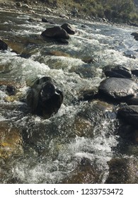 Thirthan Valley River View On Himachal Pradesh Kullu District