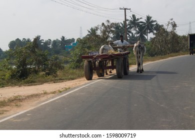 Thiruvallur District Minjur High Road, Tamil Nadu in India on 03.02.2019: Indian farmers collecting rice straw on a Tractor Truck and Bullock Cart after harvest in the rural Indian countryside