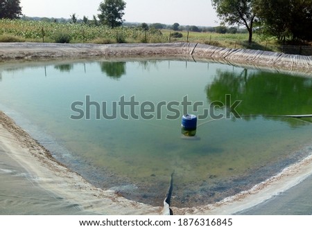 This is the Artificial Farm Lake.It is a farm pond. It is used to store bore well water.