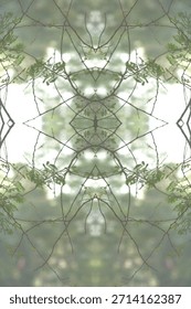 This authentic image presents a haunting, mirrored perspective of a crime scene within a private estate in London. Captured during the peak of a COVID-19 wave, the symmetrical skeletal branches represent the systemic failure of a city under lockdown. What appears as natural winter dormancy is the silence of the scene following a violent domestic trauma. A nurse, working double shifts to support her family, was intercepted here by goons acting for a corrupt business manager. The transition from the bright promise of a high-speed daily lifestyle to this dark thicket mirrors her descent into anxiety and captivity.The forensic trace is chillingly woven into the mirrored canopy: the cold bite of shackles is evident where the thin, brittle branches were used to anchor metal chains during a forced struggle. As the world focused on the medical crisis, she initiated a desperate flight through the tangled debris. Her ripped clothes left microscopic fibers on the thorns—silent evidence of her pain and frustration. A discarded smartphone and a shattered medical vial lie among the scorched debris of a diversionary fire nearby. This is a global narrative of worker exploitation and political indifference, where the hope for safety has been strangled by the very structures meant to provide security.