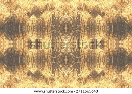 This authentic image presents a haunting, mirrored perspective of a crime scene within an agriculture belt near the Pakistan border. Captured during a state-mandated lockdown, the symmetrical golden texture represents a total systemic failure where the rural poor are rendered invisible. What was once a happy, cheerful evergreen moment of the harvest—a time for local cricket tournaments and peaceful morning walks—was violently overwritten. A Punjabi maid, caught in a web of business corruption and addiction-fueled violence, became the victim of a political crime that a social media viral video only partially captured.The forensic trace is embedded in the mirrored void: the cold bite of shackles is evidenced by the way the dry stalks were flattened in a rhythmic, mechanical pattern, suggesting the dragging of metal chains. As the city's elite celebrated a victory in a soccer tournament with wine and high-speed internet in their nearby estates, this female worker was forced into a frantic flight. Her ripped clothes and a shattered smartphone lie buried under the scorched debris of a localized blast. This is a global testament to worker exploitation and medical neglect, where the anxiety of the captive is reflected in the very earth she once tended. The original lens captures the loss of a life, now reduced to an abstract background of golden ruins.