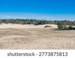 This barren sandy plain is an area of ​​drifting sand; the landscape changes regularly due to wind and rain. Animal and plant life struggles and is partly adapted to the severe weather conditions. These areas are rare and are now considered protected biotopes.