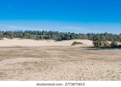 This barren sandy plain is an area of ​​drifting sand; the landscape changes regularly due to wind and rain. Animal and plant life struggles and is partly adapted to the severe weather conditions. These areas are rare and are now considered protected biotopes.
