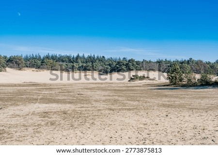 This barren sandy plain is an area of ​​drifting sand; the landscape changes regularly due to wind and rain. Animal and plant life struggles and is partly adapted to the severe weather conditions. These areas are rare and are now considered protected biotopes.