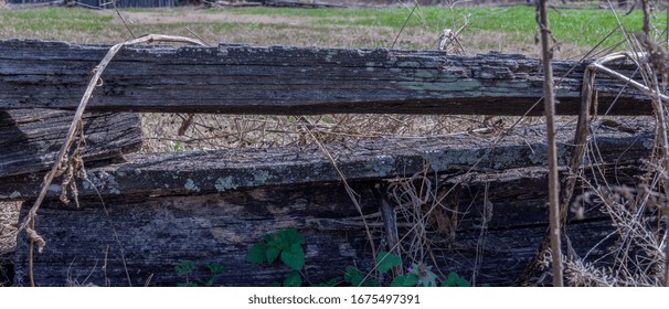 This is a beautiful background of an old split rail fence surrounded by undergrowth.