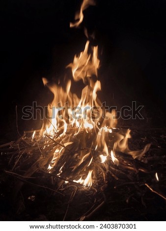 Similar – Foto Bild Lagerfeuer im Wald Freude