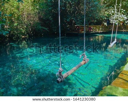 Similar – Image, Stock Photo Swimming fun at quarry pond, young adults swing into the water