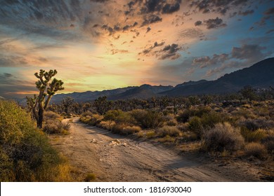 This beautiful outdoor image captures a golden sky right before sunset in a remote desert landscape. 