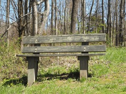 This Bench Has Been N The Park For Many Years.