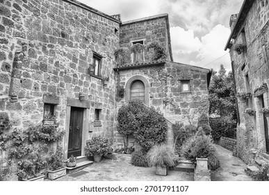 This black and white image showcases historic stone buildings with intricate details and abundant greenery, including potted plants and climbing ivy, in a narrow village setting