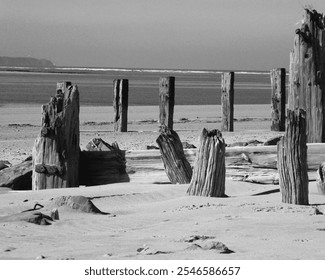 This black-and-white photograph captures a serene and timeless coastal scene, featuring weathered wooden posts standing resiliently in the sand.  - Powered by Shutterstock