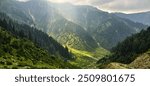 This breathtaking image captures a serene landscape where lush green mountains stretch endlessly towards the horizon. The scene is bathed in the soft, natural light of dawn or dusk, with a gentle glow