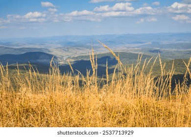 This breathtaking panorama showcases majestic mountains and golden grass swaying in the warm breeze - Powered by Shutterstock