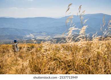 This breathtaking panorama showcases majestic mountains and golden grass swaying in the warm breeze - Powered by Shutterstock