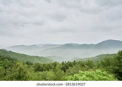       This breathtaking panoramic asset captures the serene beauty of a majestic asian mountain range covered in lush green summer foliage and ethereal morning mist Set against an overcast sky this tranquil landscape provides exceptional visual context for eco tourism campaigns wellness retreats and environmental conservation media Content creators can leverage this authentic pristine wilderness scene to illustrate peaceful nature getaways regional travel destinations and the enduring majesty of untouched national parks Ideal for editorial platforms highlighting sustainable outdoor recreation                         
