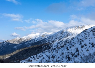 This breathtaking panoramic view captures snow-capped mountain peaks under a bright blue sky with soft white clouds, overlooking a dense evergreen forest in winter.
The image presents a majestic alpine landscape where the rugged grandeur of nature is on full display. In the foreground, a steep slope covered in pristine white snow is dotted with hardy shrubs and young coniferous trees, casting soft shadows against the wintry blanket. As the eye moves toward the mid-ground, a thick, dark green forest of ancient pines blankets the lower ridges, creating a striking color contrast between the deep emerald needles and the brilliant white frost. The sunlight plays across the undulating terrain, highlighting the complex textures of the rocky outcrops and the soft curves of the snowdrifts. In the distance, the towering massifs rise sharply toward the heavens, their jagged summits heavily dusted with snow, reflecting the clear, crystalline light of a cold winter day. The sky above is a vibrant, expansive azure, filled with fluffy, scattered cumulus clouds that add a sense of movement and depth to the composition. The overall atmosphere is one of profound tranquility and untouched wilderness, evoking the crisp, thin air of high altitudes and the quiet stillness of the mountains during the coldest season. This scene perfectly encapsulates the raw beauty of the highlands, offering a sense of scale and wonder that only the great outdoors can provide.