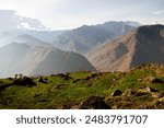 This breathtaking photograph features a lush green hillside bathed in sunlight, overlooking the misty mountain valleys of the Himalayas. The contrast between the vibrant green grass and the layered, m