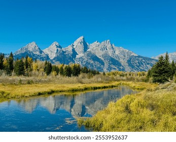 This breathtaking shot features the Grand Tetons reflected in a pristine river, framed by vibrant fall foliage and evergreen trees under a clear blue sky. A stunning display of nature’s serenity. - Powered by Shutterstock