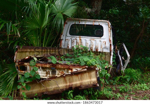 this is\
broken car.\
plants are raising up on the\
car.