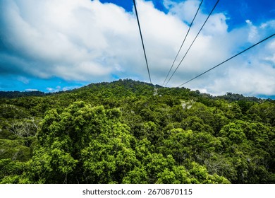 This cable is dangling over a dense jungle in Malaysia