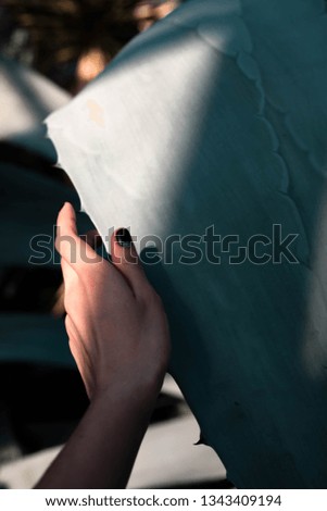 Similar – the hand of a woman touches the naked bottom of a statue