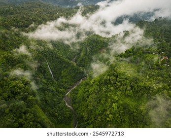 This captivating aerial view showcases a stunning Goa Tetes Waterfall that gracefully flows through the heart of a lush, vibrant forest. Java, Indonesia
