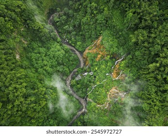 This captivating aerial view showcases a stunning Goa Tetes Waterfall that gracefully flows through the heart of a lush, vibrant forest. Java, Indonesia