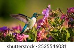 This captivating image captures a hummingbird in mid-flight, its iridescent feathers gleaming in the sunlight as it feeds on nectar from a beautiful pink flower.